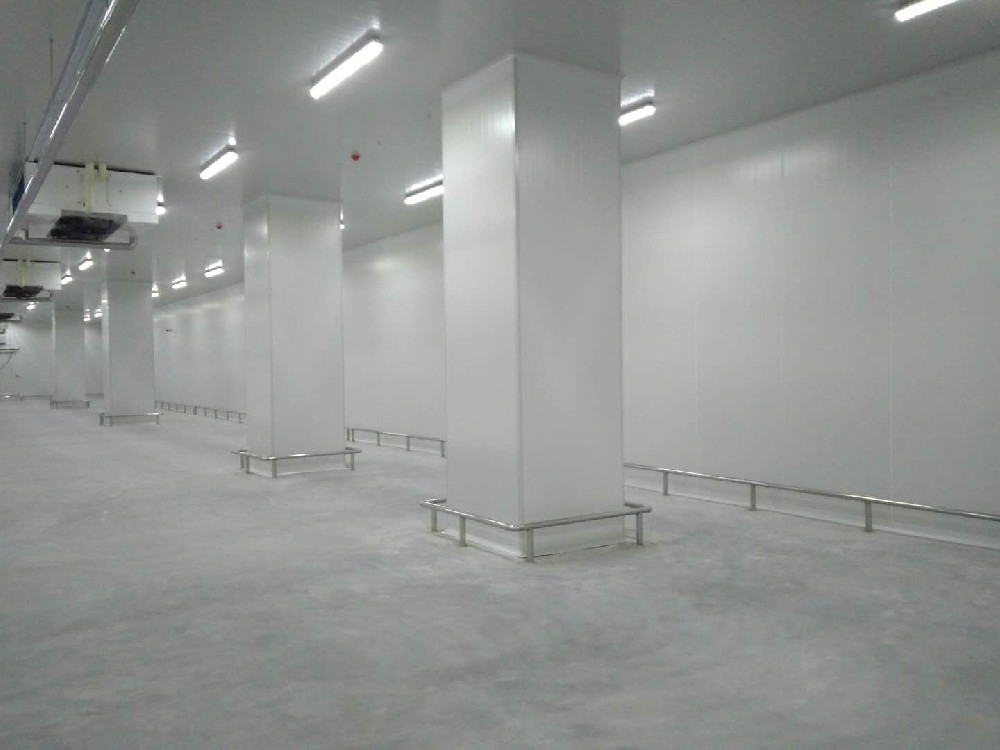 建造200噸的肉類冷鏈冷凍庫如何做好規(guī)劃設(shè)計(jì)？